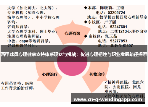 西甲球员心理健康支持体系现状与挑战:促进心理韧性与职业发展路径探索 西甲球员心理健康支持体系现状与挑战:促进心理韧性与职业发展路径探索