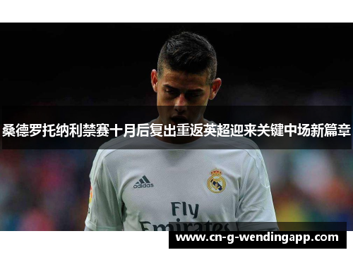 桑德罗托纳利禁赛十月后复出重返英超迎来关键中场新篇章