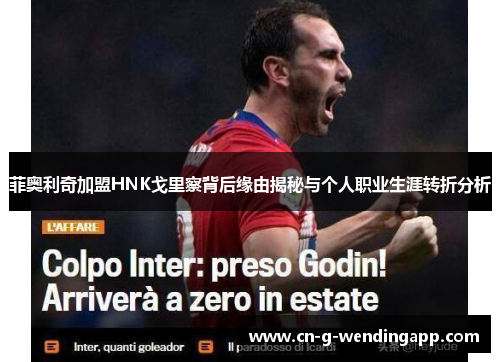 菲奥利奇加盟HNK戈里察背后缘由揭秘与个人职业生涯转折分析