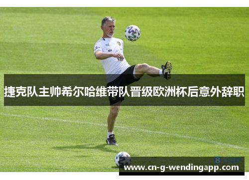 捷克队主帅希尔哈维带队晋级欧洲杯后意外辞职 捷克队主帅希尔哈维带队晋级欧洲杯后意外辞职
